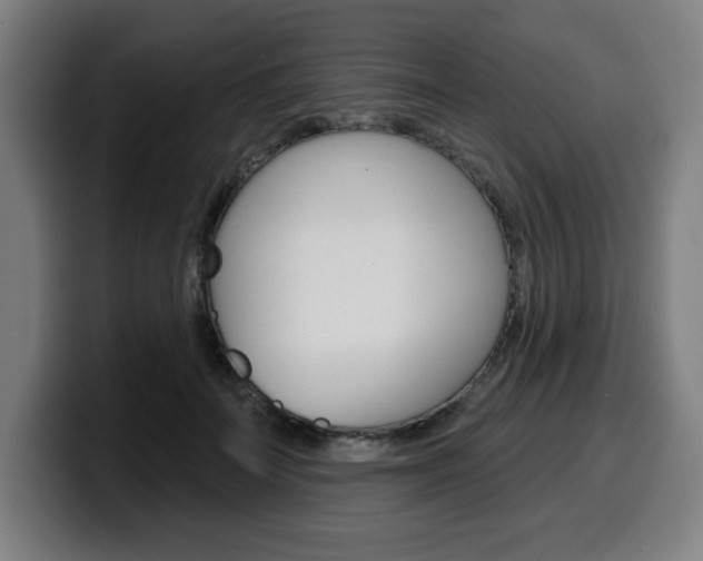 X0000099500699200805150950