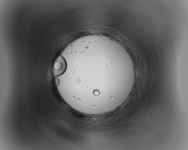 X0000099500702200805150950