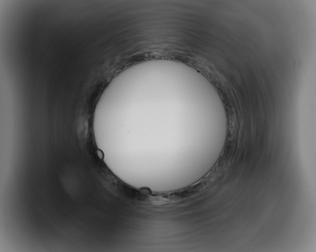 X0000099500703200805150950