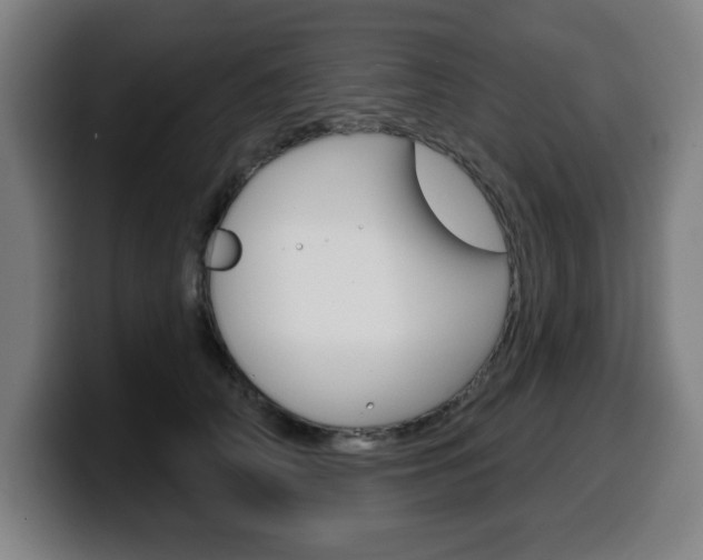 X0000099500706200805150950