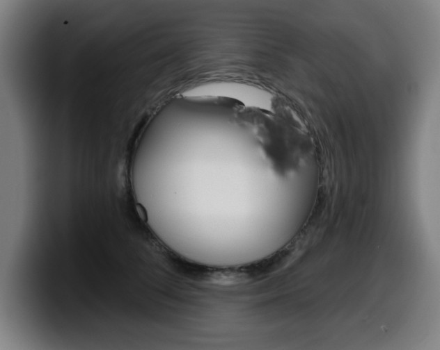X0000099500708200805150950