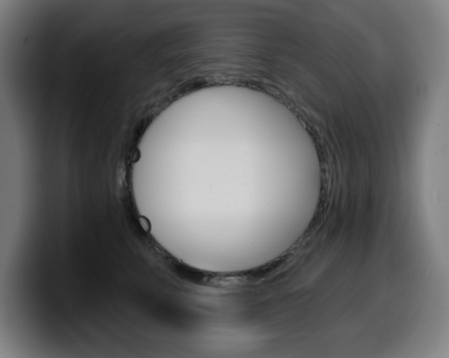 X0000099500711200805150950