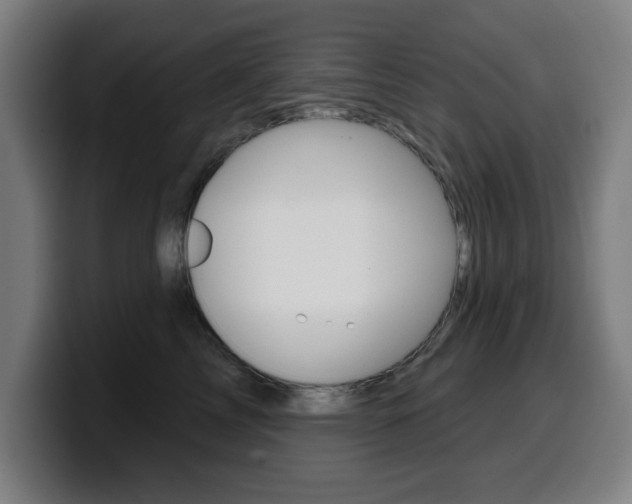 X0000099500713200805150949