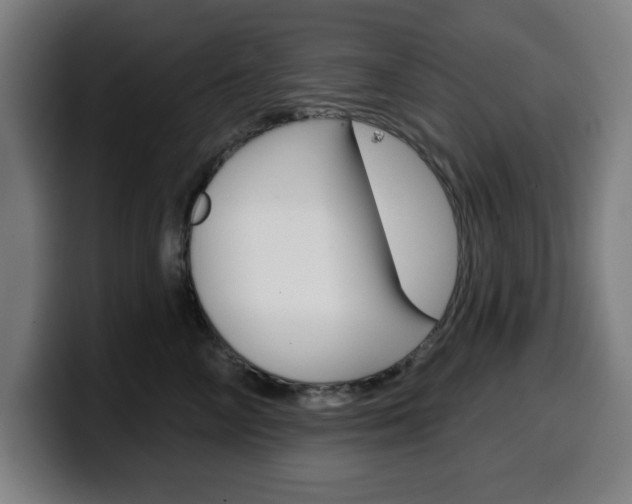 X0000099500714200805150949