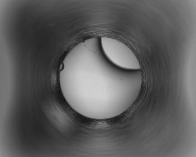 X0000099500715200805150949