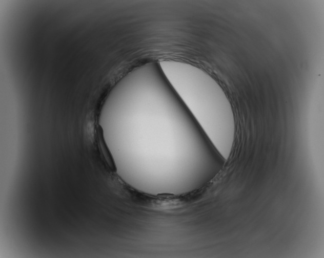 X0000099500716200805150949