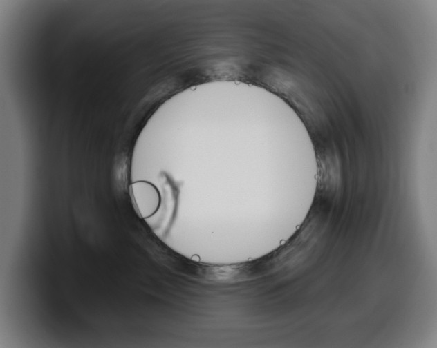 X0000099500717200805150949