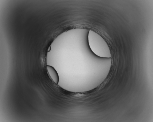 X0000099500718200805150949