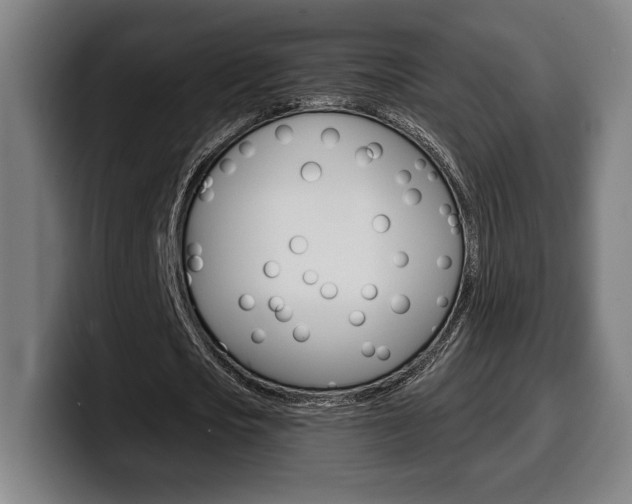 X0000099500721200805150949