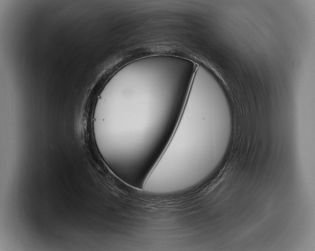 X0000099500723200805150949