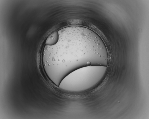 X0000099500725200805150949