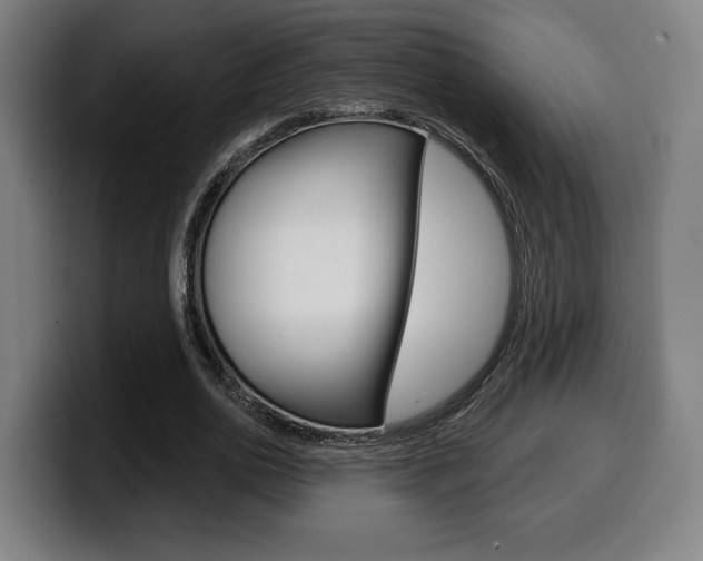 X0000099500726200805150949