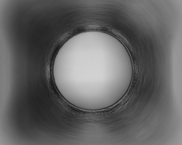 X0000099500729200805150949