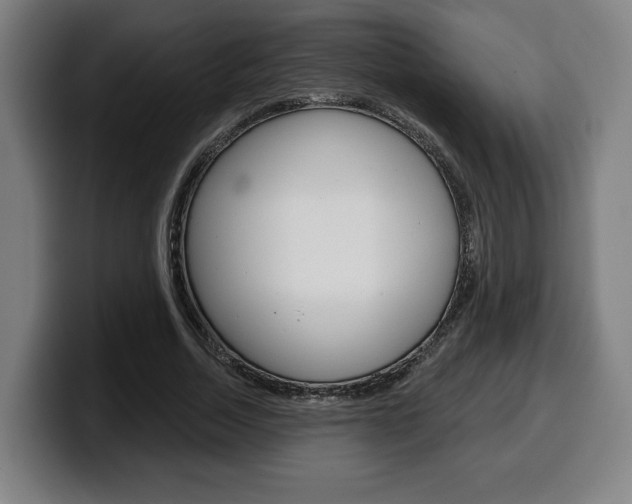 X0000099500730200805150949
