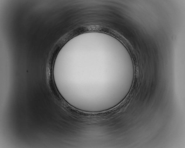 X0000099500733200805150949