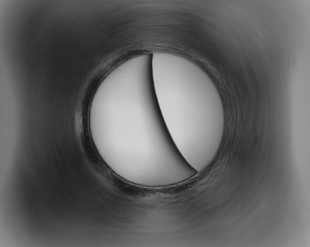 X0000099500734200805150949