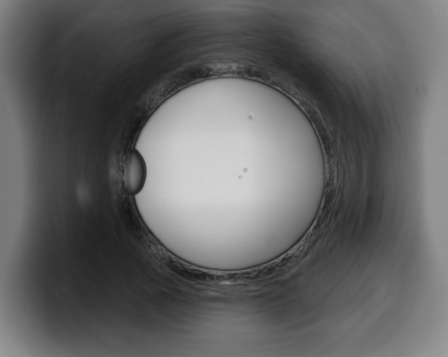 X0000099500737200805150949