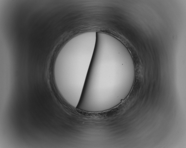 X0000099500738200805150949
