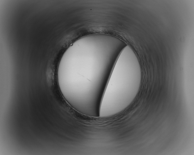 X0000099500739200805150949