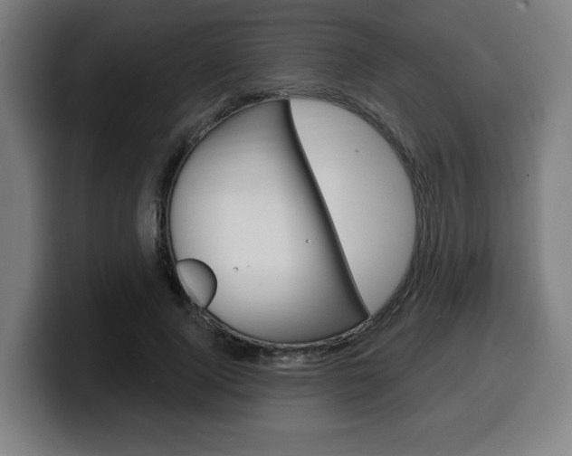X0000099500740200805150949
