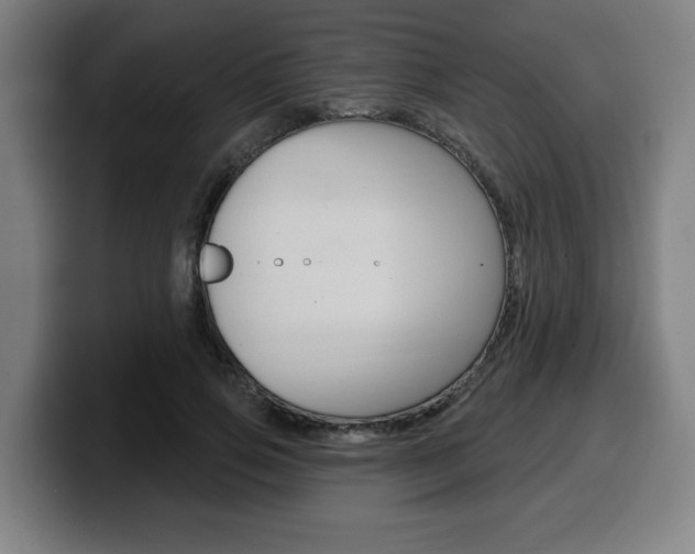 X0000099500741200805150949