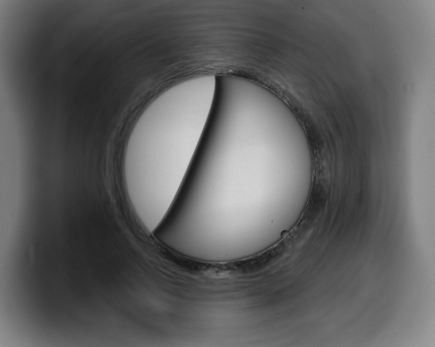 X0000099500742200805150949