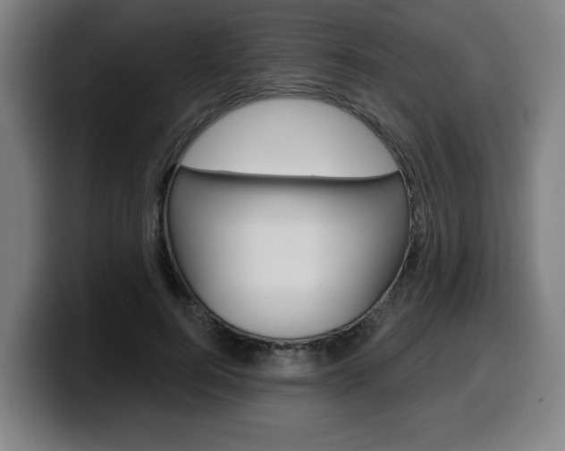 X0000099500744200805150949