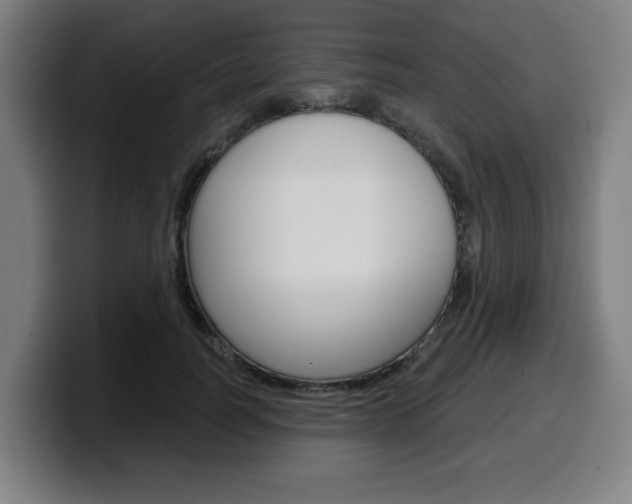 X0000099500746200805150949