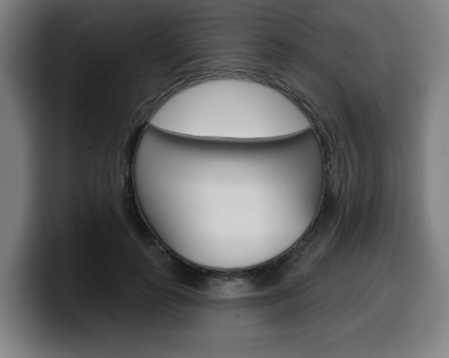 X0000099500747200805150949