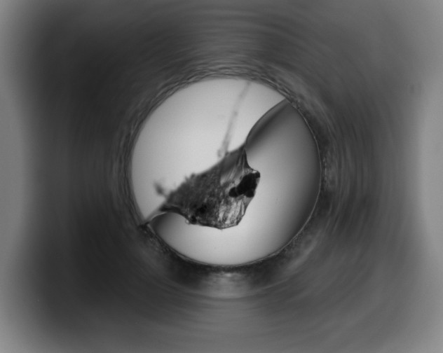 X0000099500748200805150949