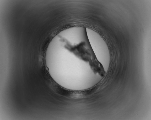 X0000099500749200805150949