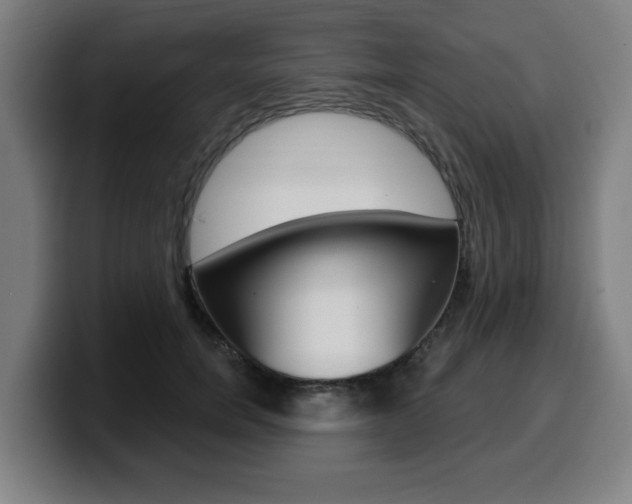 X0000099500750200805150949