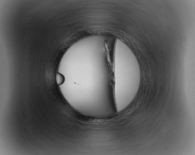 X0000099500751200805150949