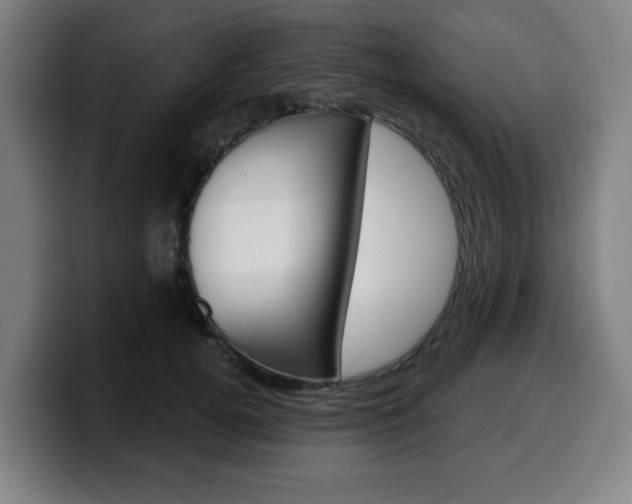 X0000099500752200805150949