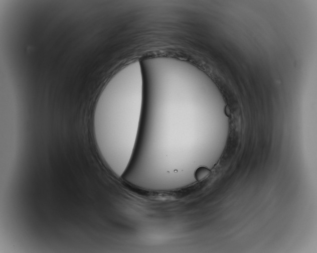 X0000099500754200805150949