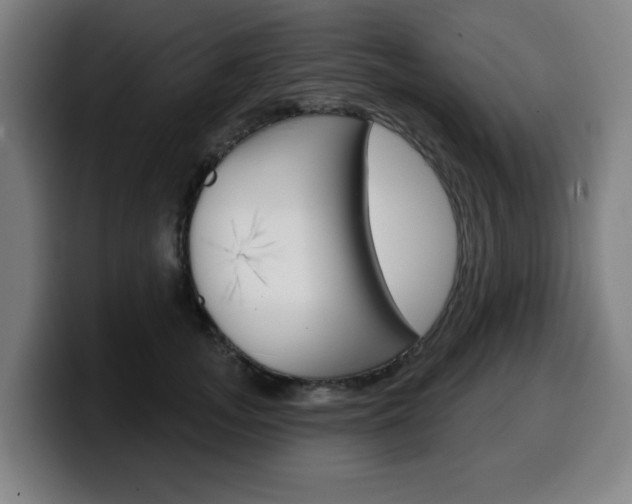 X0000099500755200805150949