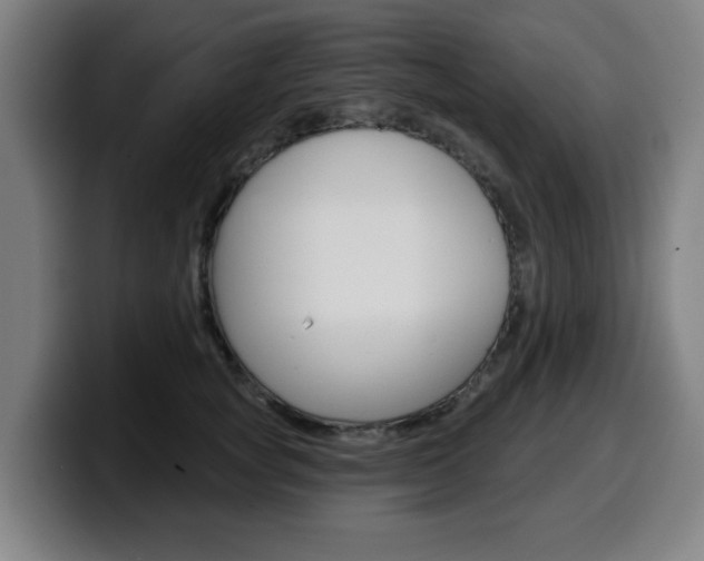 X0000099500757200805150949