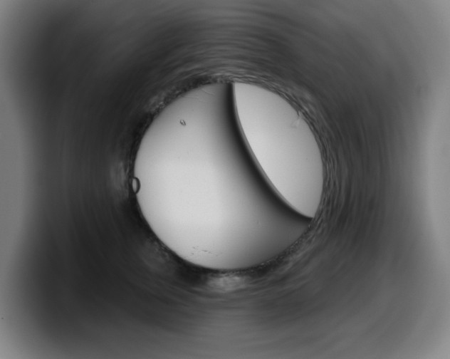 X0000099500759200805150949