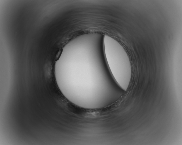 X0000099500760200805150949