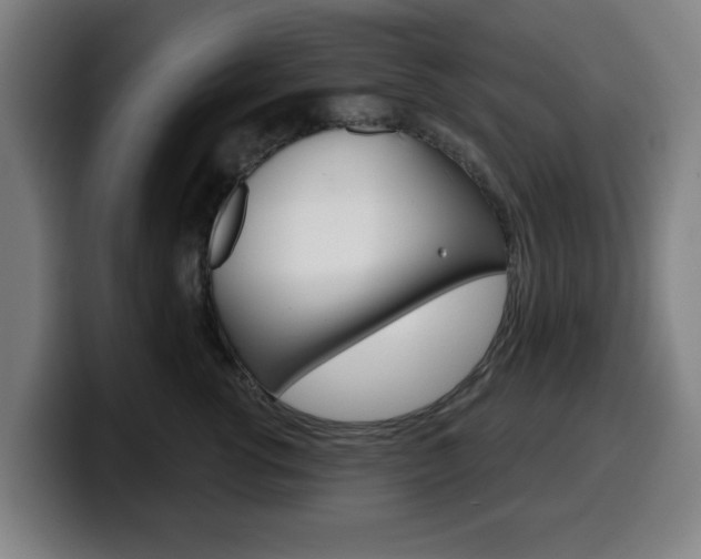 X0000099500762200805150949