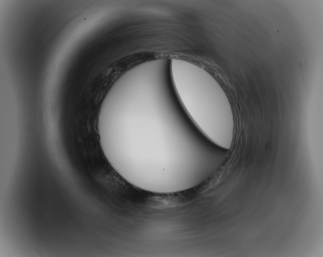 X0000099500763200805150949