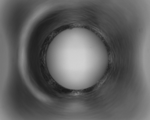 X0000099500764200805150949