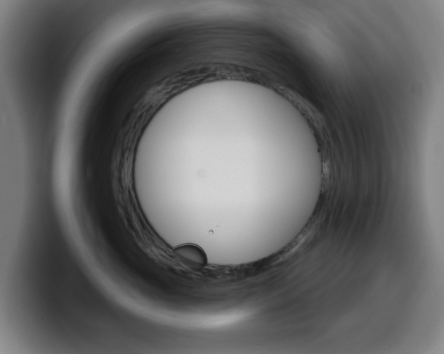 X0000099500765200805150949