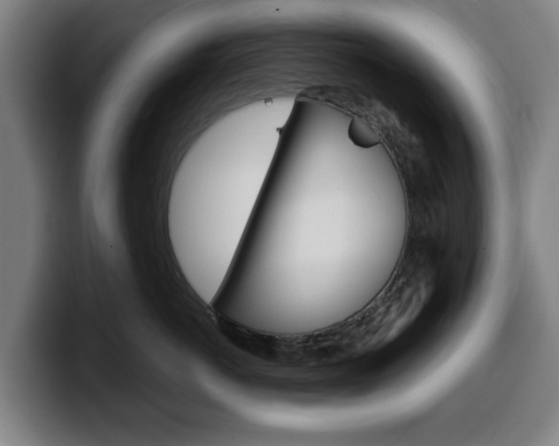 X0000099500766200805150949