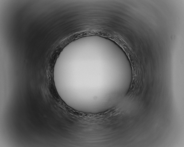 X0000099500773200805150949