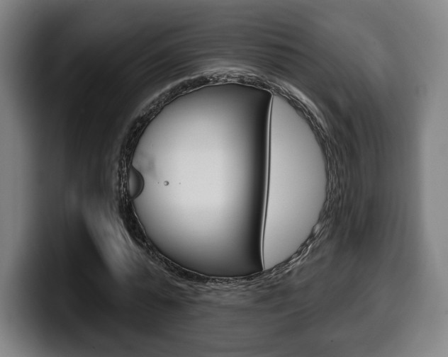X0000099500775200805150949