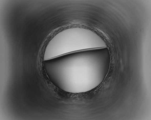 X0000099500776200805150949