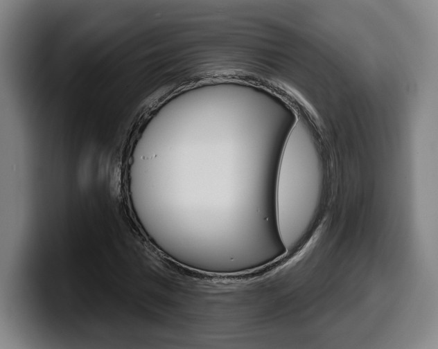 X0000099500777200805150949
