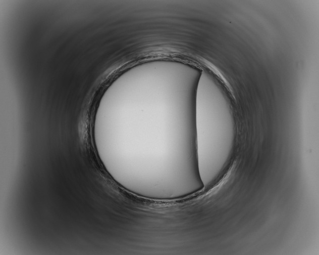 X0000099500778200805150949