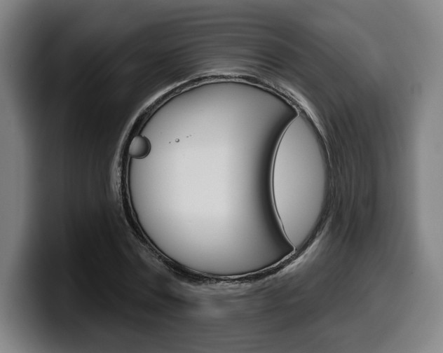 X0000099500779200805150949